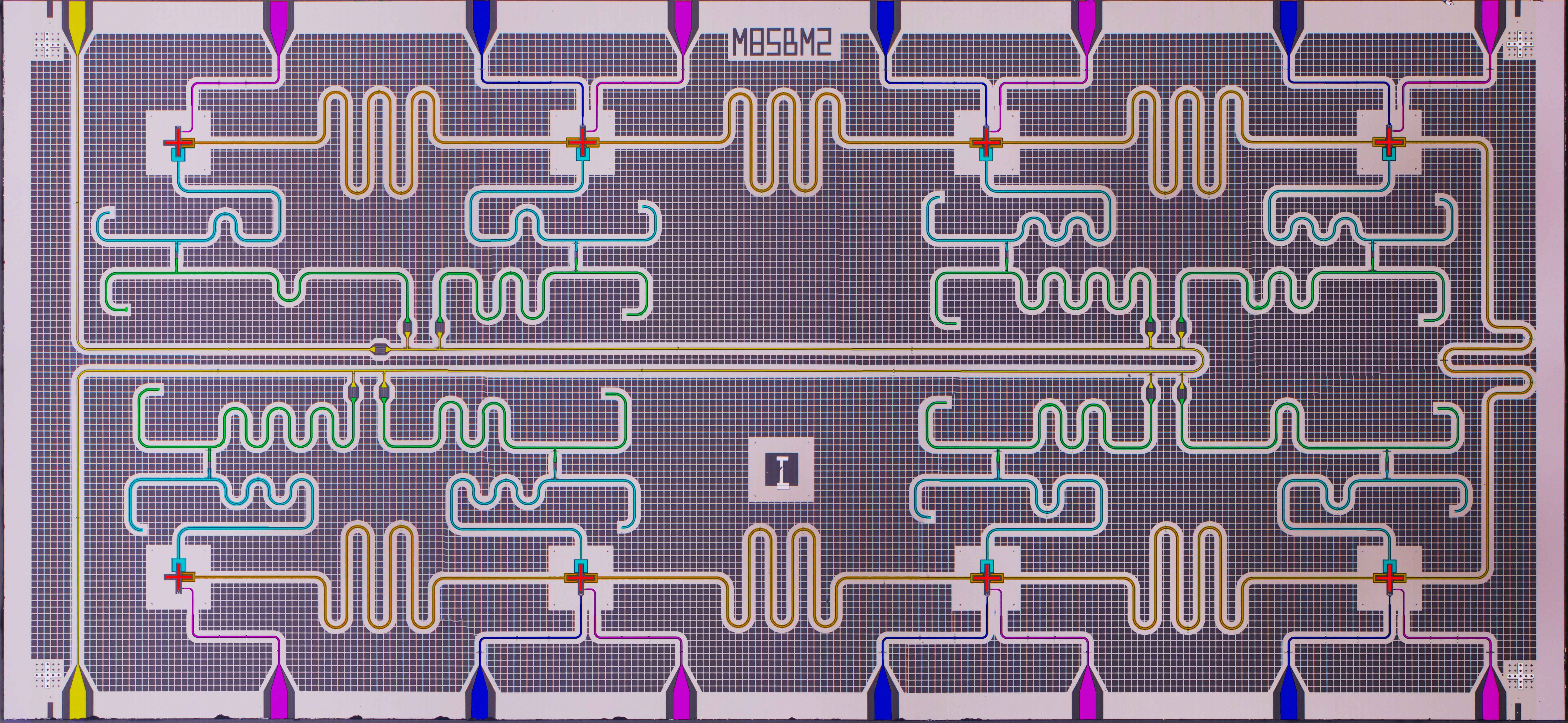 8-qubit Quantum Processor enabling the multiplexed readout using a single detection channel