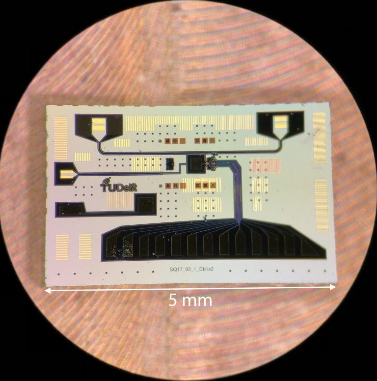 Photo by an optical microscope of the quantum chip with the on-chip resonator and quantum dots